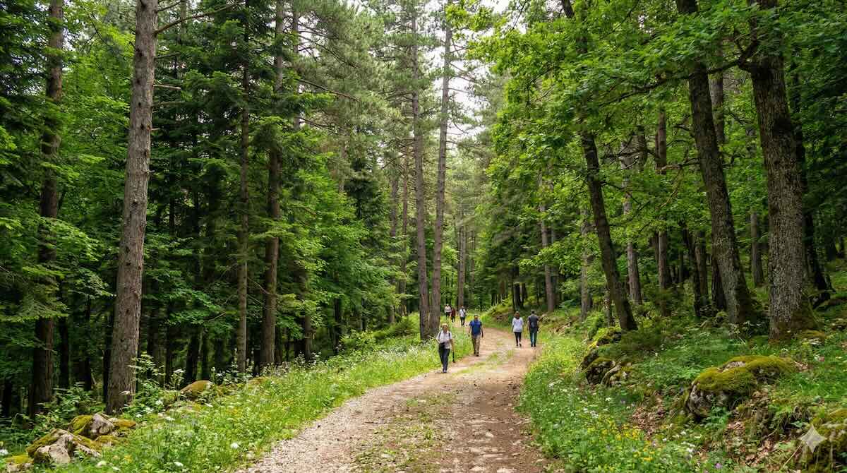 Yozgat'ta Doğa Turu İçin Araç Kiralama Rehberi